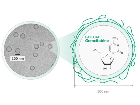 Liposomes - Fujifilm Pharma