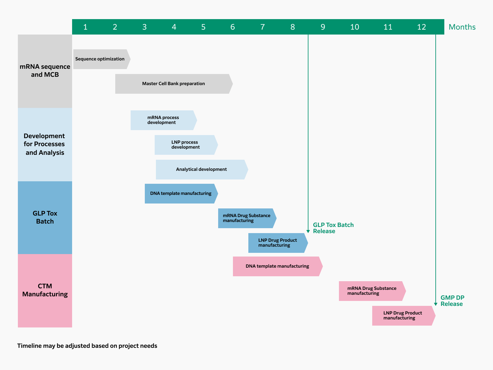 GMP manufacturing timeline from start to GMP DP Release